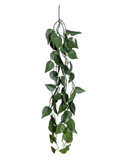 Ms5 0034 Patos 80 Cm