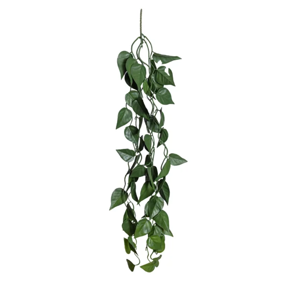 Ms5 0034 Patos 80 Cm