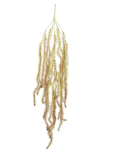 Ms5 0037 T Lk Kuyru U 90 Cm