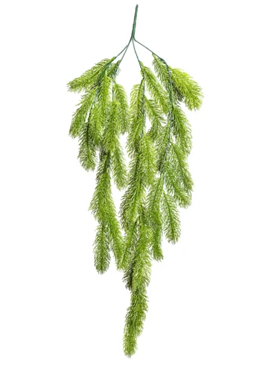 Ms5 0038 Sarkan Am 80 Cm