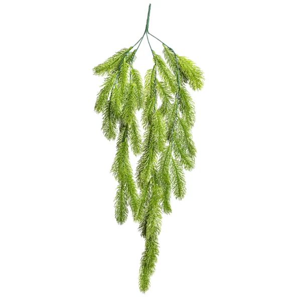 Ms5 0038 Sarkan Am 80 Cm