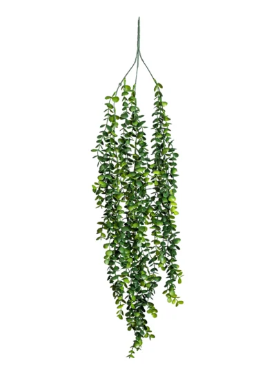 Ms5 0041 Okal Ptus 85 Cm