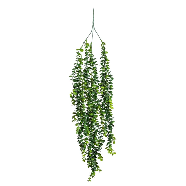 Ms5 0041 Okal Ptus 85 Cm