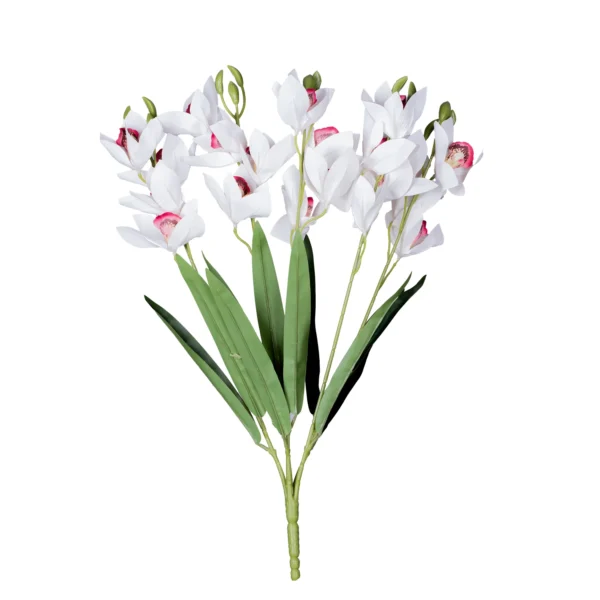 Ms6 0047 Islak Beyaz Ork De 53 Cm