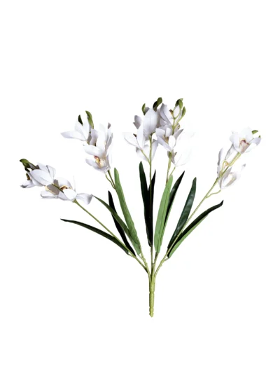 Ms6 0048 Islak Beyaz Ork De 53 Cm