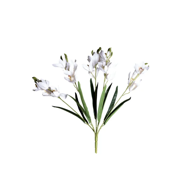 Ms6 0048 Islak Beyaz Ork De 53 Cm