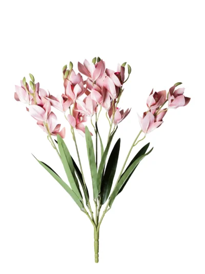 Ms6 0049 Islak Pembe Ork De 53 Cm