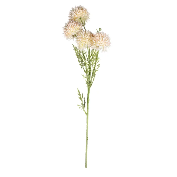 Ms6 0074 Somon Krizantem 75 Cm