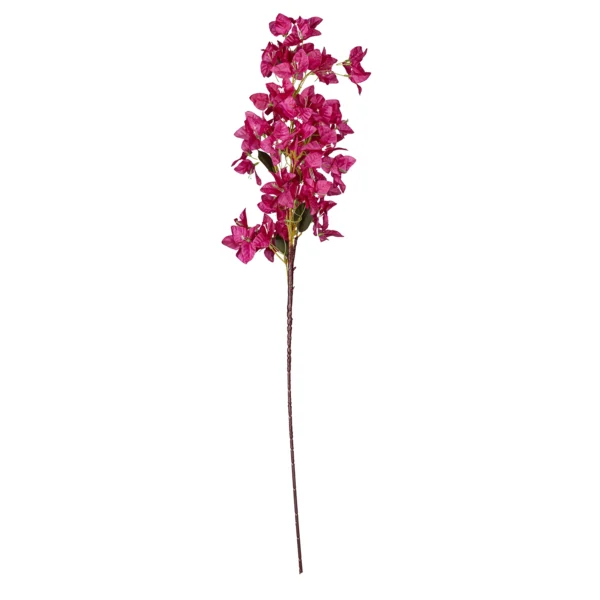 Ms6 0077 Pembe Begonvil 95 Cm