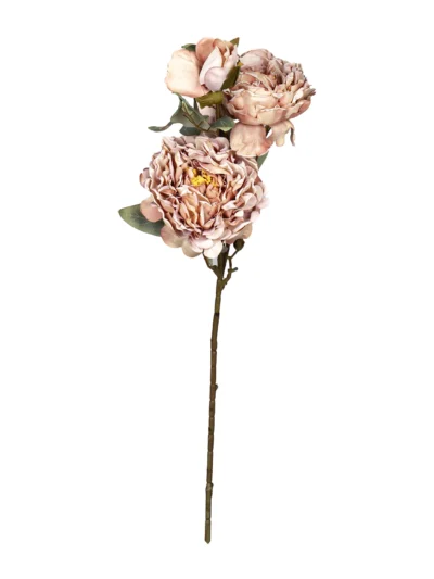 Ms6 0109 Pastel Sakayik 70 Cm