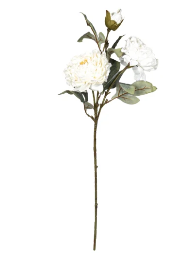 Ms6 0111 Krem Sakayik 70 Cm