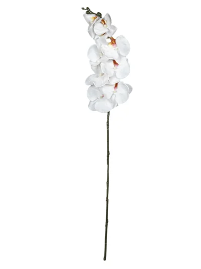 Ms6 0139 Islak Beyaz Orkide 98 Cm