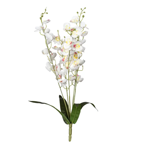 Ms6 0171 Sari Beyaz Orkide Demeti 50 Cm