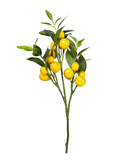 Ms62 0010 Limon 57 Cm